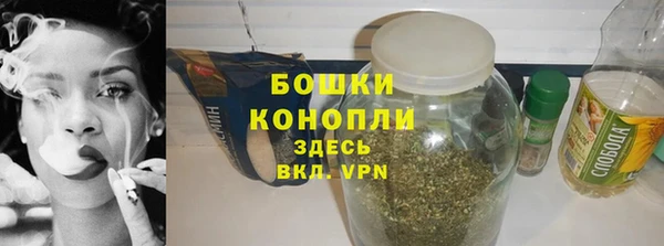 прущие грибы Беломорск