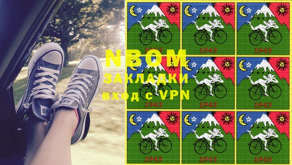 прущие грибы Беломорск