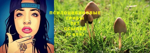 mdma Белокуриха