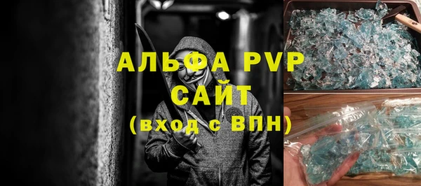 прущие грибы Беломорск