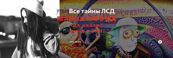 прущие грибы Беломорск