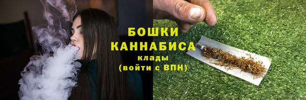 прущие грибы Беломорск