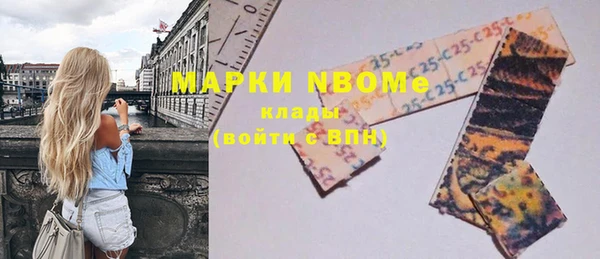 прущие грибы Беломорск