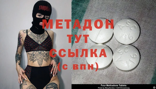 прущие грибы Беломорск