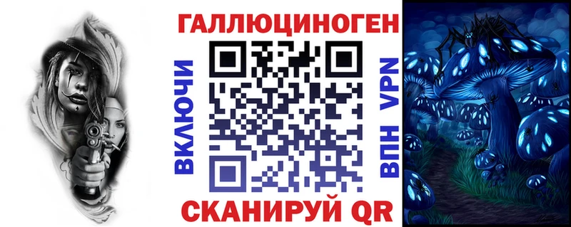 где продают   Цоци-Юрт  Галлюциногенные грибы Cubensis 